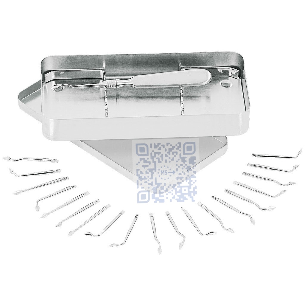 SET OF 20 TIPS SYNDESMOTOMES AND HANDLE STAINLESS GERMANY
