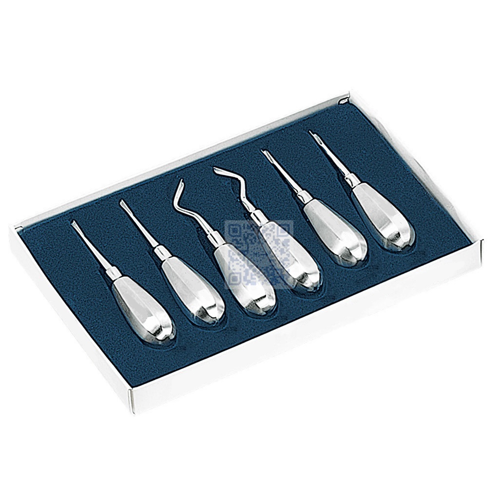 SET OF 6 UNITS HELICOIDAL ROOT ELEVATORS,(2 Items Per Lot)