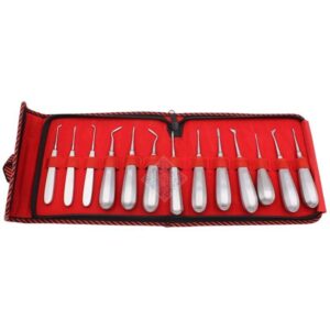 Dental Elevator Curved Tooth Rig Hex Handle Dentist Surgical Tool 13 Units,(2 Items Per Lot)