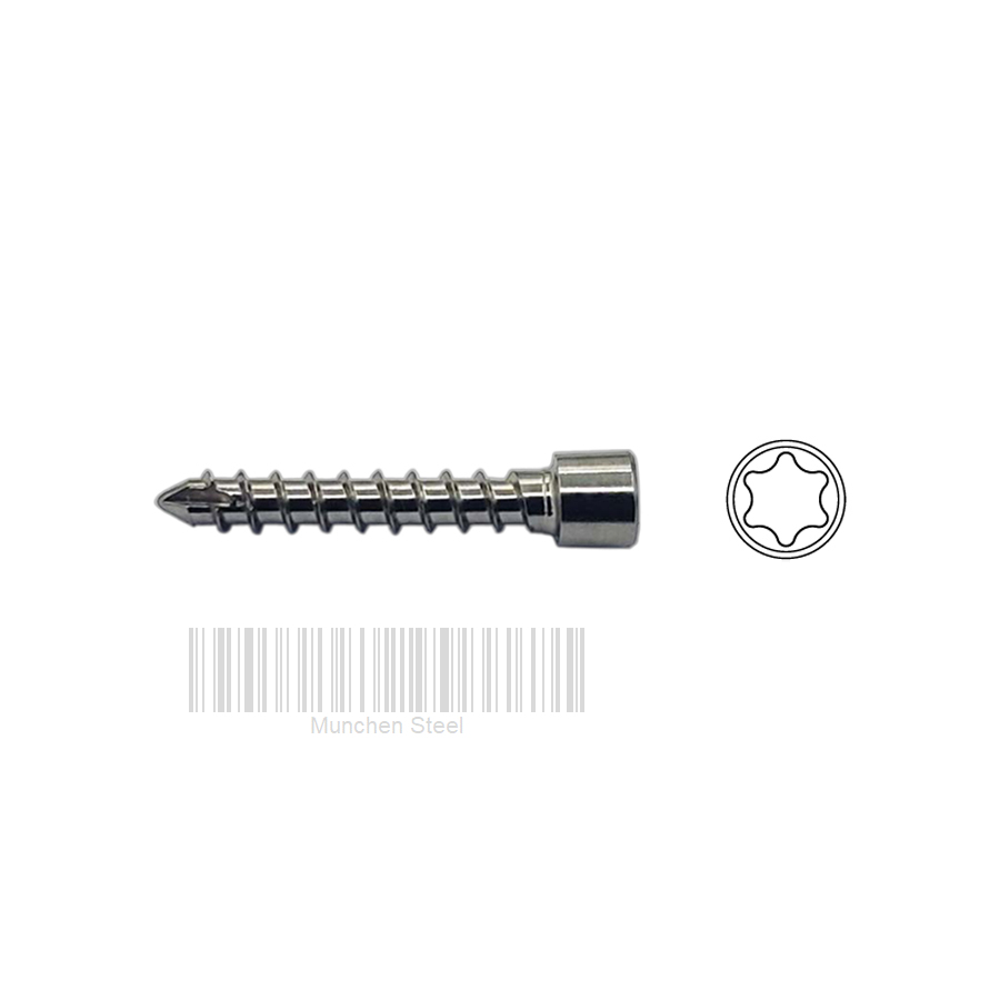 ø1.9mm Auto Locking Screw Stainless Steel (100 ITEMS PER LOT)
