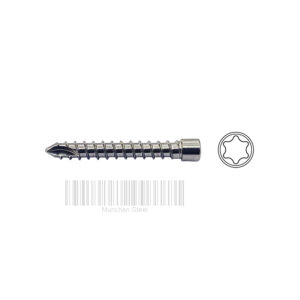 ø2.5mm Auto Locking Screw Stainless Steel (100 ITEMS PER LOT)