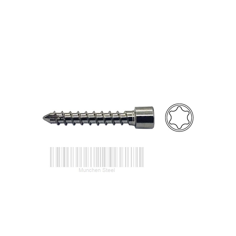 ø3.0mm Auto Locking Screw Stainless Steel (100 ITEMS PER LOT)