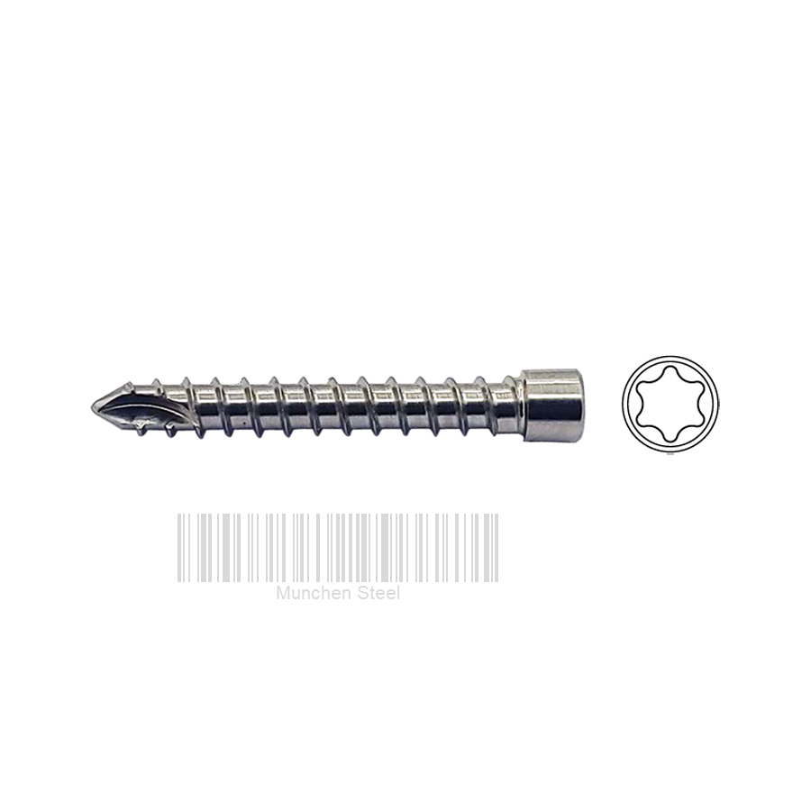 ø3.5mm Auto Locking Screw Stainless Steel (100 ITEMS PER LOT)