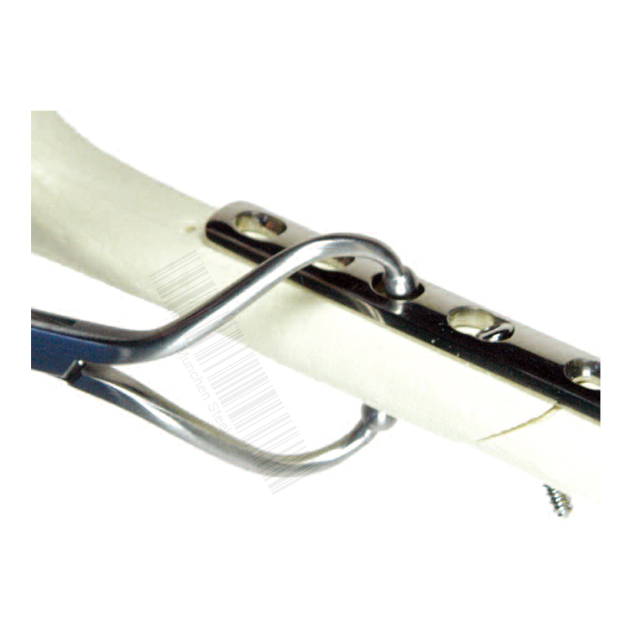 Plate Holding Forceps With Ball Heads Stainless Steel German - Image 2